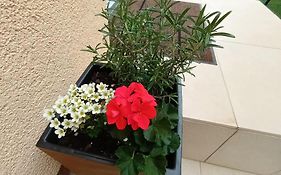 Apartman Sandra -Private Parking And Garden