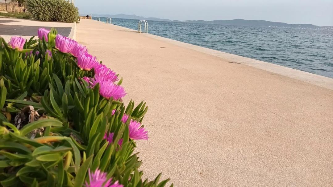 Apartman Sandra -Private Parking And Garden Zadar Zewnętrze zdjęcie