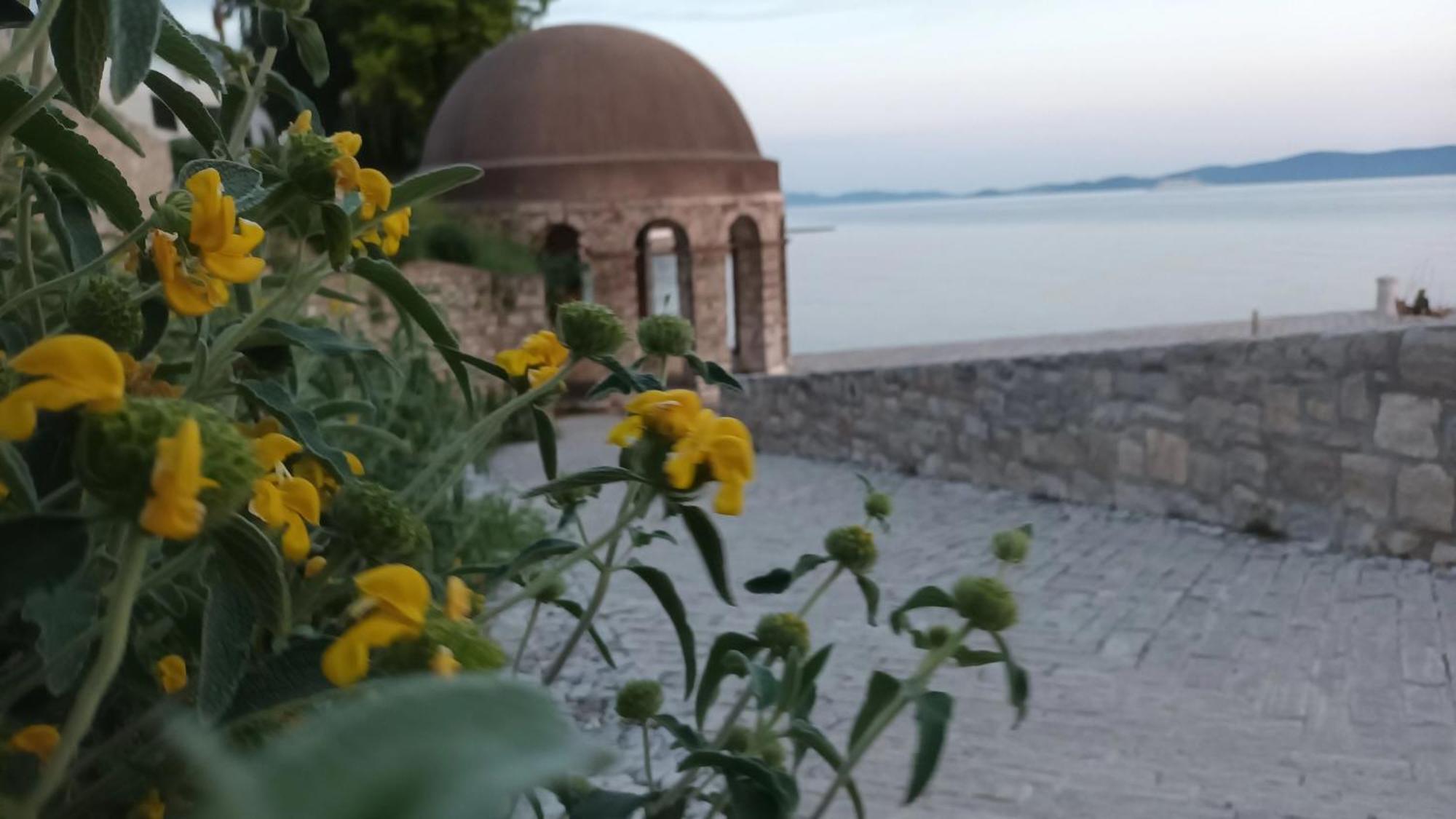 Apartman Sandra -Private Parking And Garden Zadar Zewnętrze zdjęcie